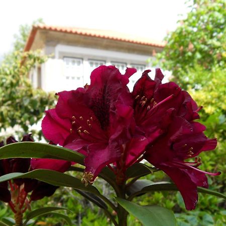 Quinta Do Bento Novo - Casa De Campo - Turismo Rural ビアナドカステロ エクステリア 写真