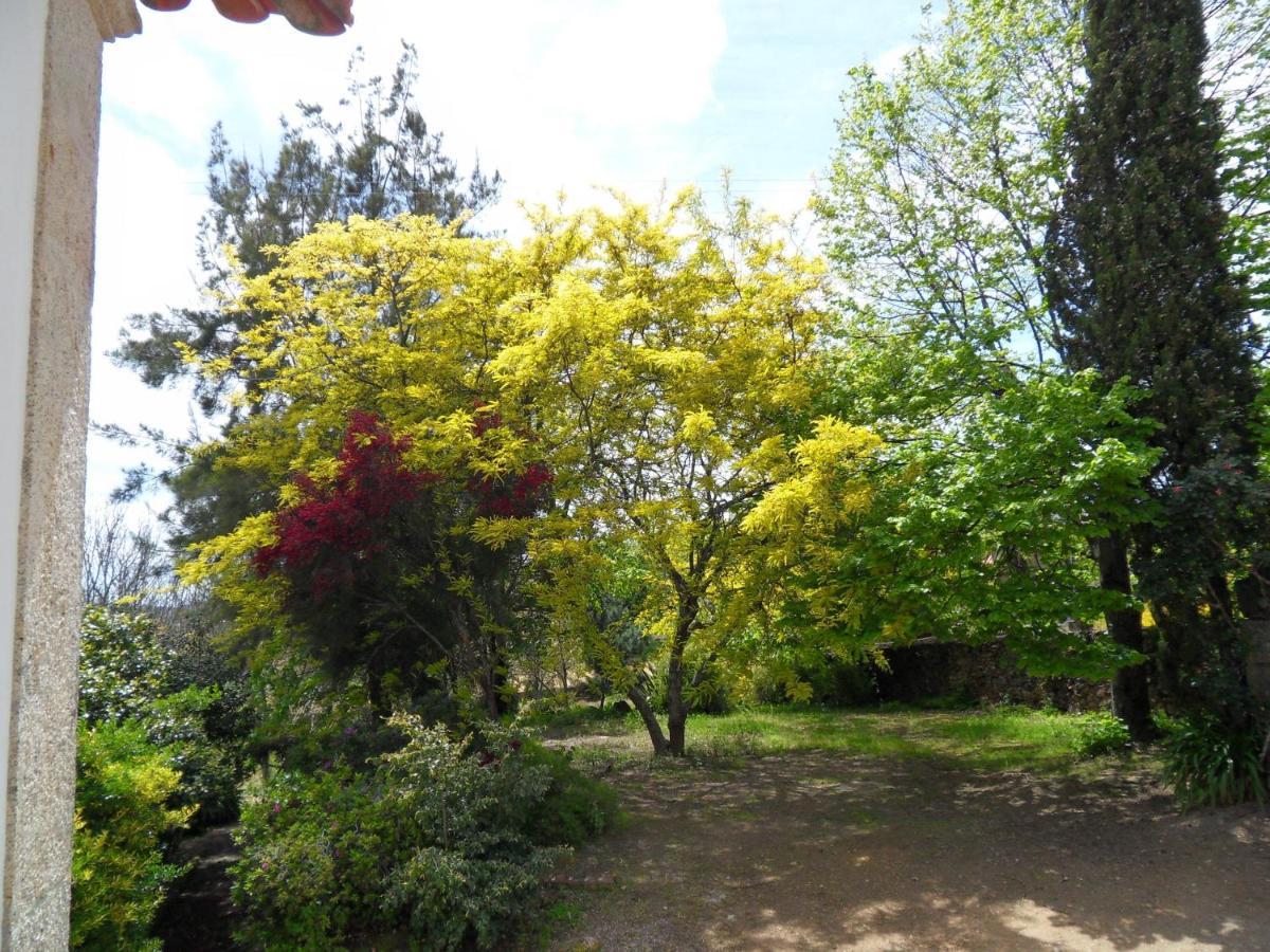 Quinta Do Bento Novo - Casa De Campo - Turismo Rural ビアナドカステロ エクステリア 写真