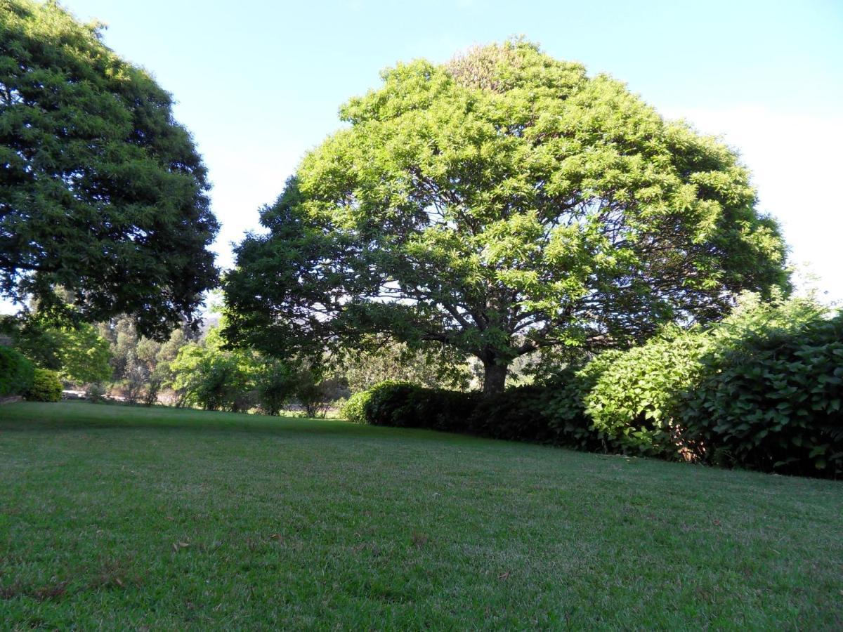 Quinta Do Bento Novo - Casa De Campo - Turismo Rural ビアナドカステロ エクステリア 写真