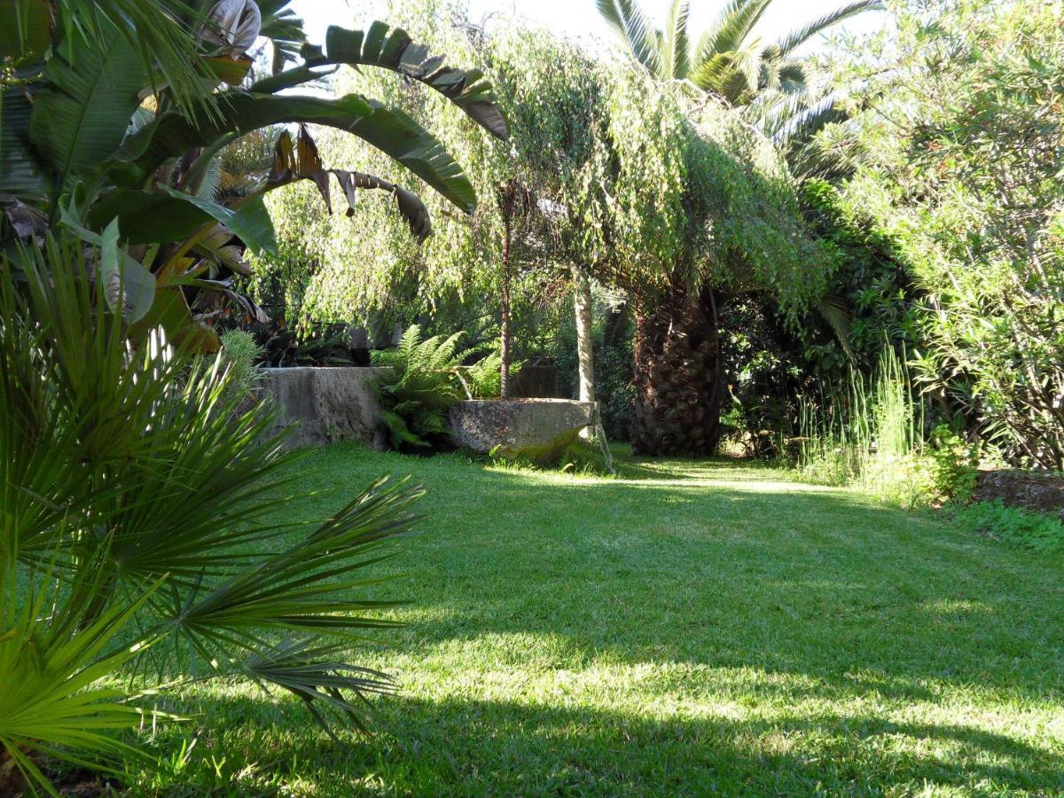 Quinta Do Bento Novo - Casa De Campo - Turismo Rural ビアナドカステロ エクステリア 写真