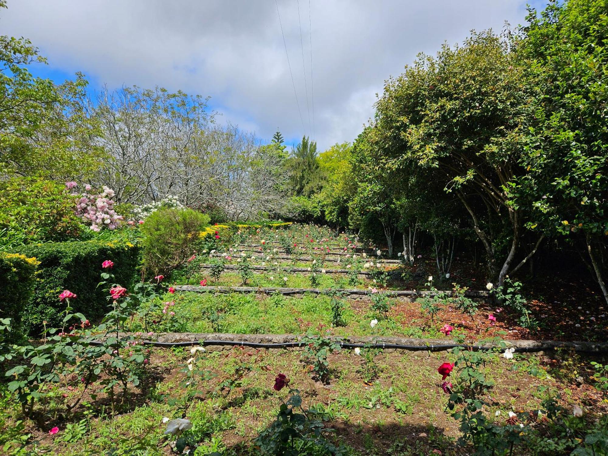 Quinta Do Bento Novo - Casa De Campo - Turismo Rural ビアナドカステロ エクステリア 写真