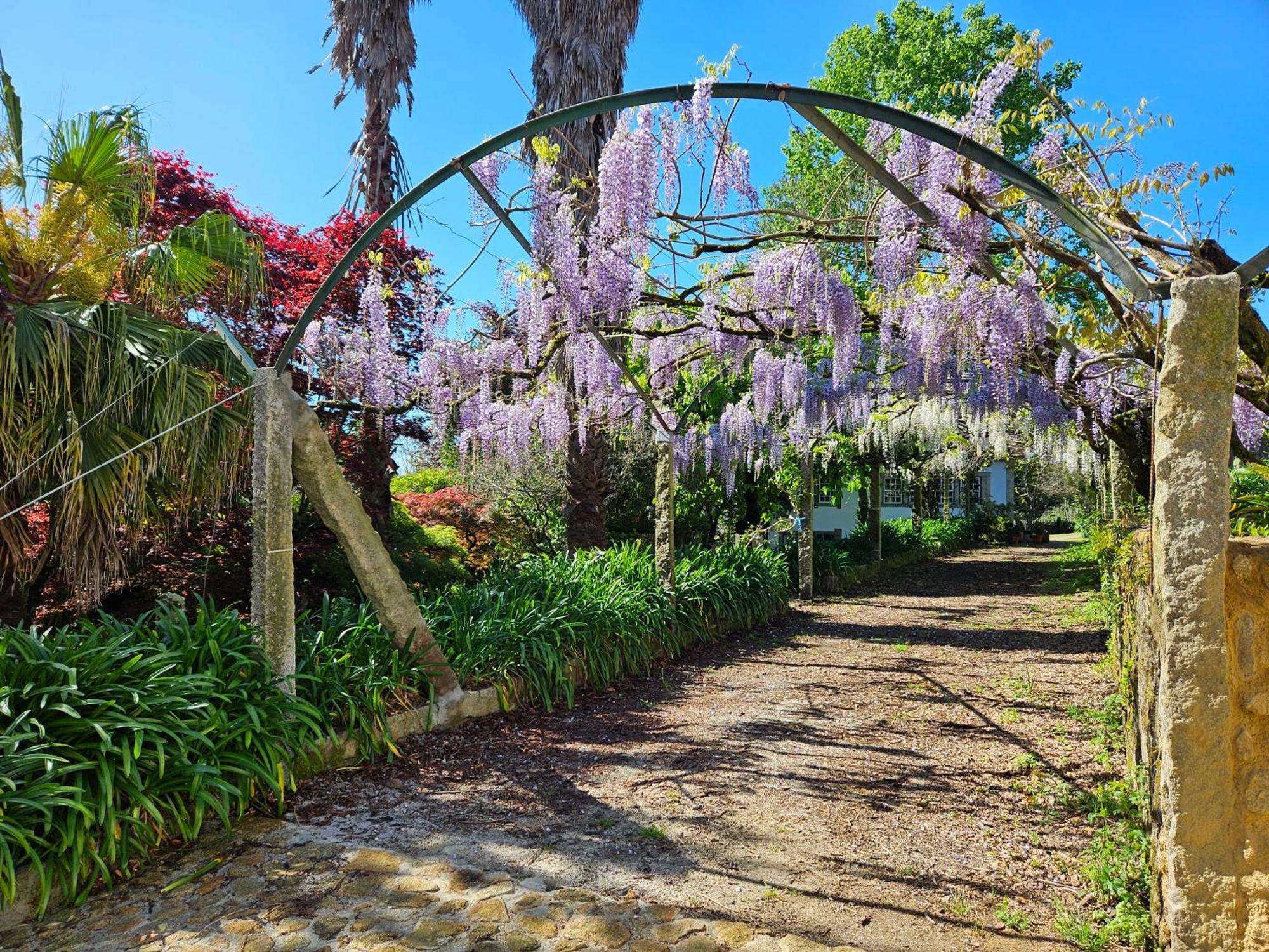 Quinta Do Bento Novo - Casa De Campo - Turismo Rural ビアナドカステロ エクステリア 写真
